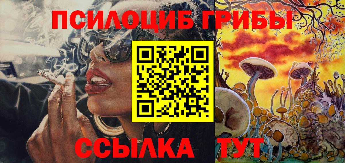 Псилоцибиновые грибы мицелий  Вход с VPN  Киселёвск 